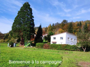 Maison spacieuse avec SPA, nature & calme dans les Vosges - FR-1-589-757